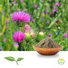 Milk Thistle Seed Powder by American Botanicals