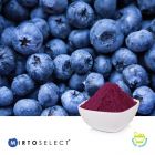 Mirtoselect® (Bilberry Extract) by Indena