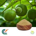 Luo Han Guo Extract 10:1 (cGMP)