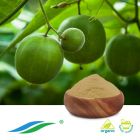 Organic Monk Fruit Extract 25% Mogroside V (DECOLORATION) (NON-GMO,cGMP)