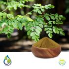 Moringa Leaf P.E. 30% Saponnins by Gravimetry by S.A. Herbal Bioactives