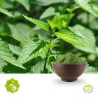 Nettle Leaf Powder by Hunan Essence