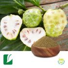 Noni Fruit Extract 5:1 by Longze Biotechnology