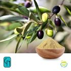 Olive Leaf P.E. 25% Hydroxytyrosol 