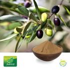 Olive Leaf P.E.10% Oleuropein by Jianhe Bio