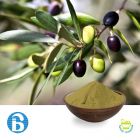 Olive Leaf Extract 40% Oleuropein by BannerBio