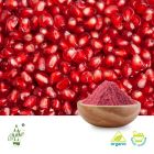 Organic Pomegranate Juice Powder