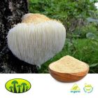 Organic Lion’s Mane Powder by Biosan