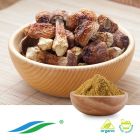Organic Agaricus Blazei Extract by Hunan NutraMax