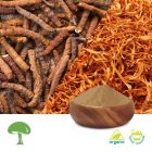 Organic Cordyceps Super Extract by Aloha Medicinals
