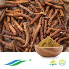 Organic Cordyceps Extract by Hunan NutraMax