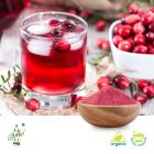 Organic Cranberry Juice Powder