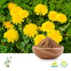 Organic Dandelion Powder