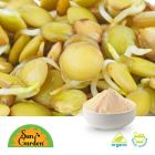 Organic Green Lentil Sprout Powder by SunGarden