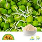 Organic Green Pea Sprout Powder by SunGarden
