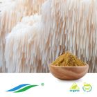 Organic Hericium Erinaceus Extract by Hunan NutraMax