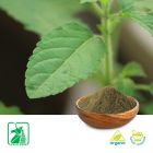Organic Holy Basil Powder by Unicorn