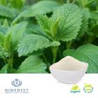 Organic Lemon Balm Powder 7% Rosmarinic Acid by Robertet