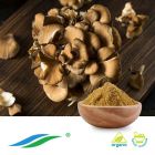 Organic Maitake Mushroom Extract by Hunan NutraMax