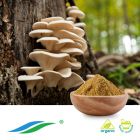 Organic Oyster Mushroom Extract by Hunan NutraMax