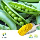 Pea Protein Isolate 80% (Organic) by Yosin