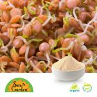 Organic Red Lentil Sprout Powder by SunGarden