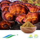Organic Reishi Mushroom Extract by Hunan NutraMax