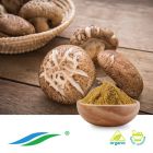 Organic Shiitake Mushroom Extract by Hunan NutraMax
