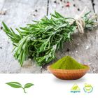 Thyme (Ground, Organic) by American Botanicals