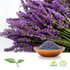 Lavender (Whole, Organic) by American Botanicals