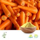 Organic Carrot Powder (BRC Certified Factory) by Qimei