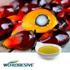 Palm Tocotrienols 70% Oil