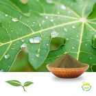 Papaya Leaf Powder by American Botanicals