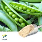 Pea Protein Isolate 80%