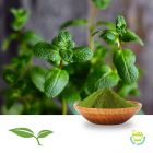 Peppermint Leaf Powder by American Botanicals