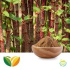 Polygonum Cuspidatum Extract (Trans-Resveratrol >20%) by Tianhua Pharmaceutical