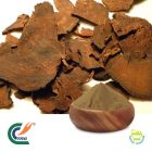 Polygonum Cuspidatum PE 10:1 by TRG