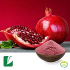 Pomegranate Fruit Powder