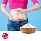 Probiotics Powder-Bacillus Coagulans BC99 by Wecare Probiotics