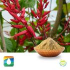 Quassia Amara Bark Extract 4:1 by Monteloeder