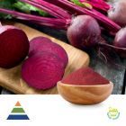 Red Beet Root Juice Powder E2.5 by KS Nutripharma