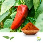 Red Pepper 10-30 HU (Ground) by American Botanicals