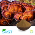 Reishi Extract 50% Polysaccharide