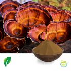 Reishi Mushroom Extract 35% Polysaccharides (Sporocarp)
