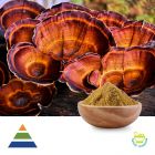Reishi Mushroom (Ganoderma Lucidum) Extract Polysaccharides 30% by KS Nutripharma