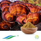 Reishi Mushroom Extract by Hunan NutraMax