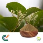 Resveratrol 50% by TRG