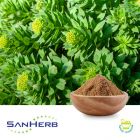 Rhodiola Rosea Extract 3% Rosavins 1% Salidroside