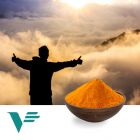 Riboflavin 5 Sodium Phosphate