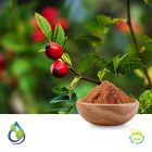 Rosehips Powder